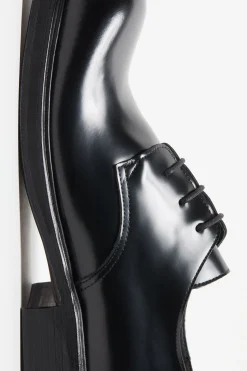 Lace-up leather shoes